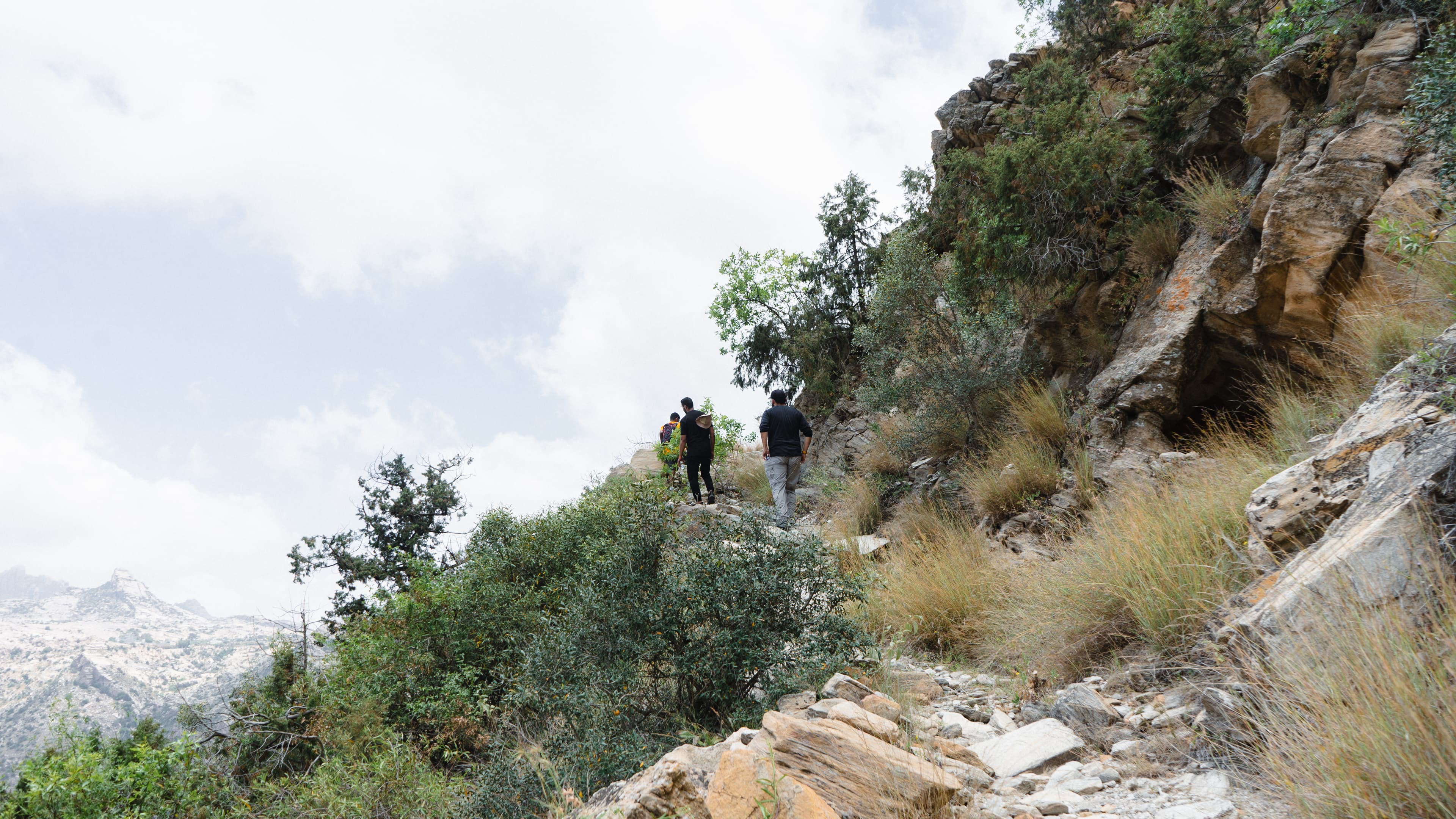 مسار حافة الجبل | تنومة
